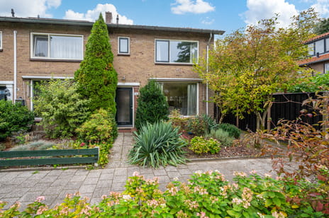 undefined main image