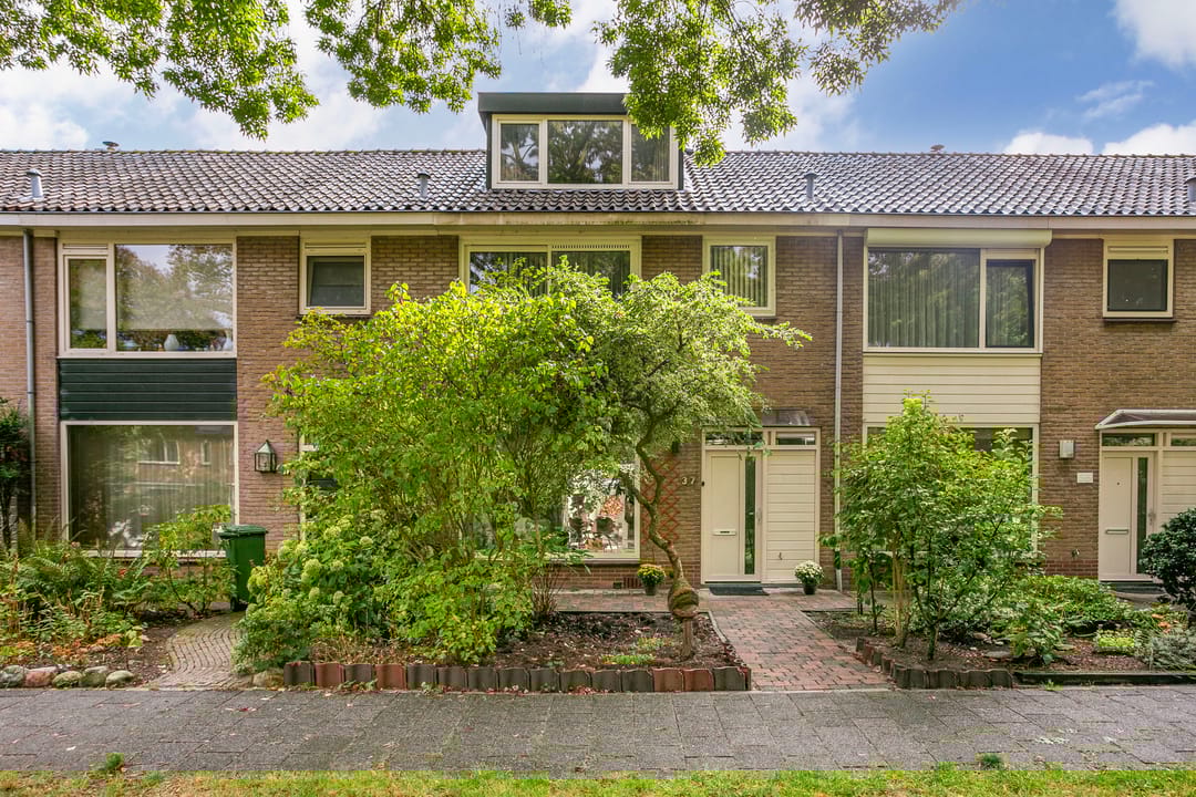 Foto 1 van Laan 1954 37