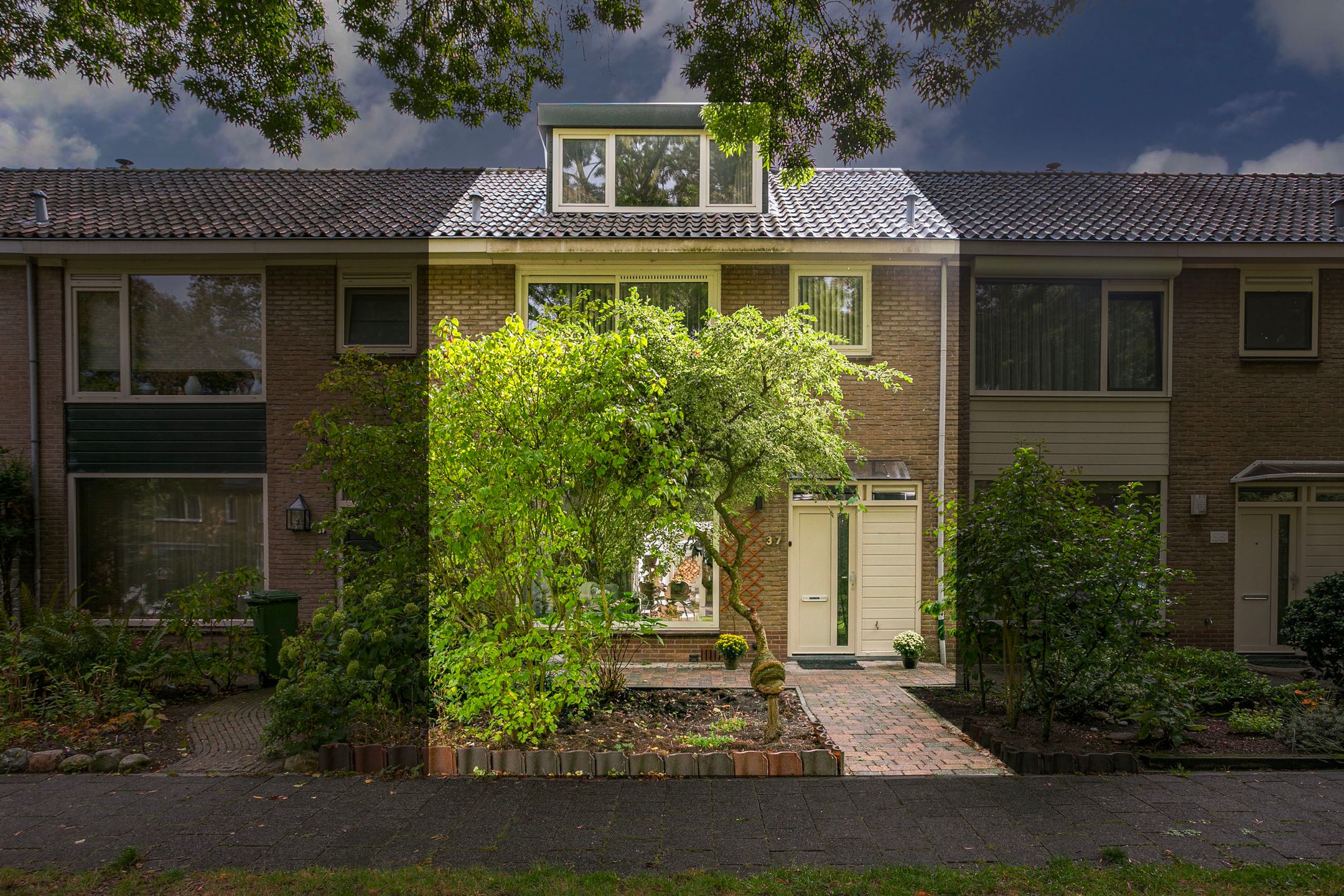 Foto 3 van Laan 1954 37