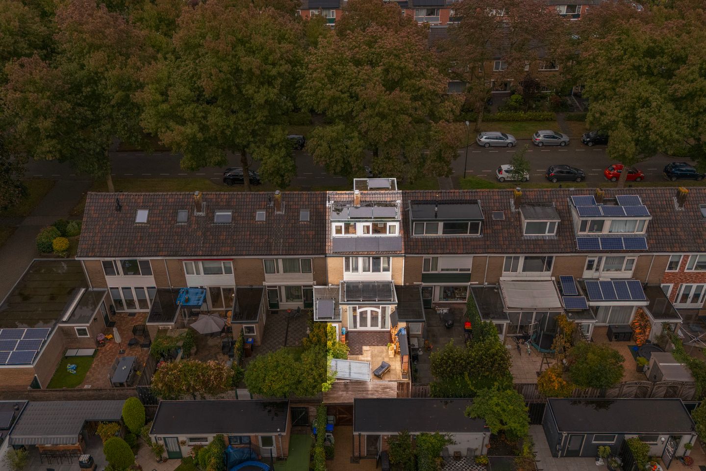 Foto 4 van Laan 1954 37