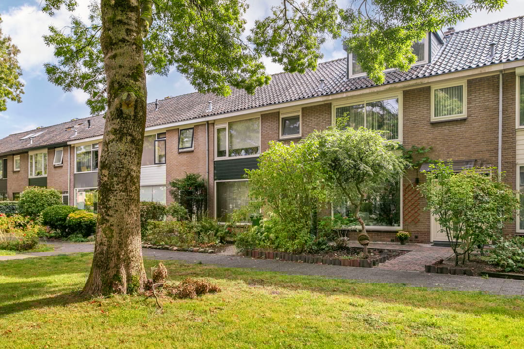 Foto 2 van Laan 1954 37