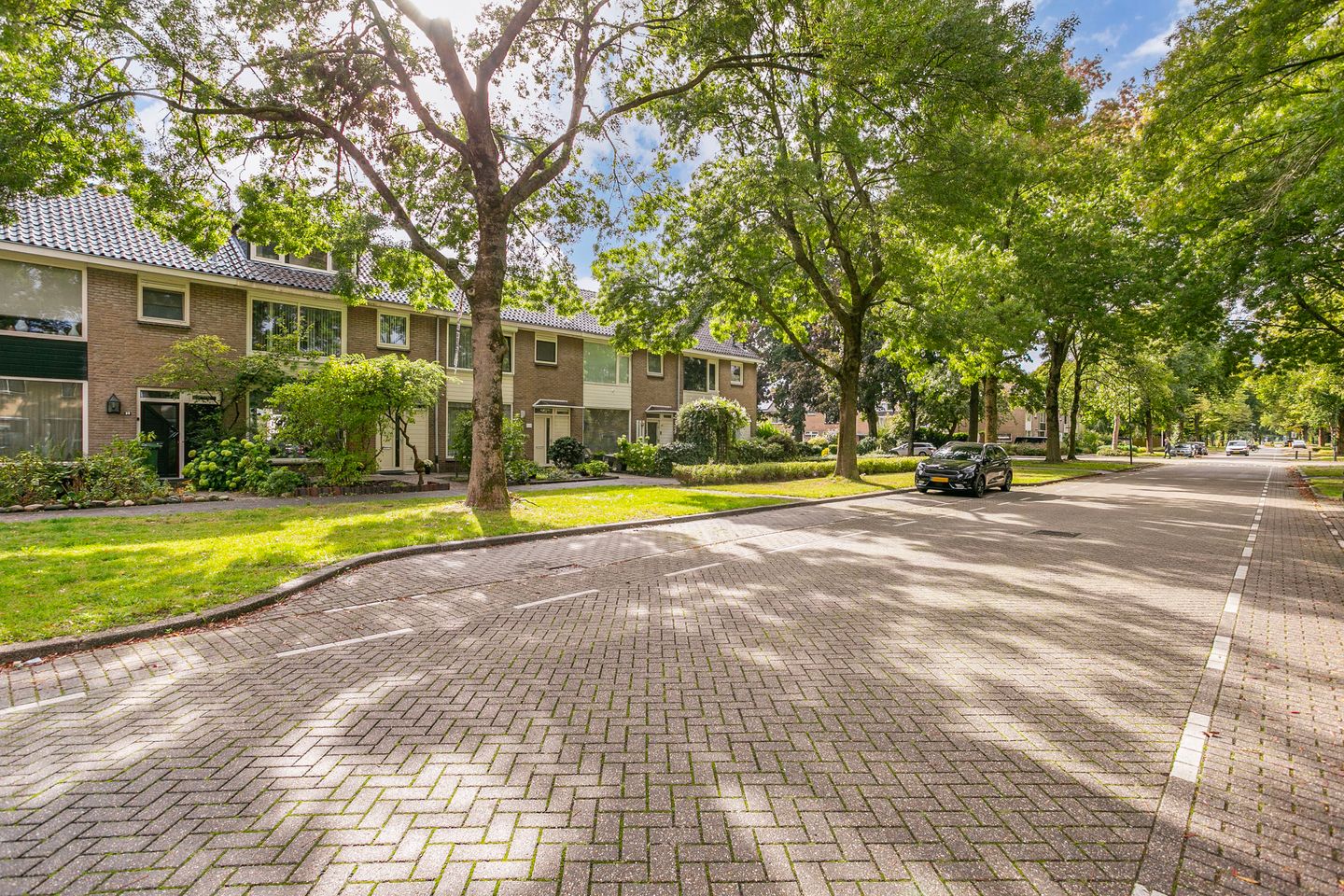 Foto 5 van Laan 1954 37