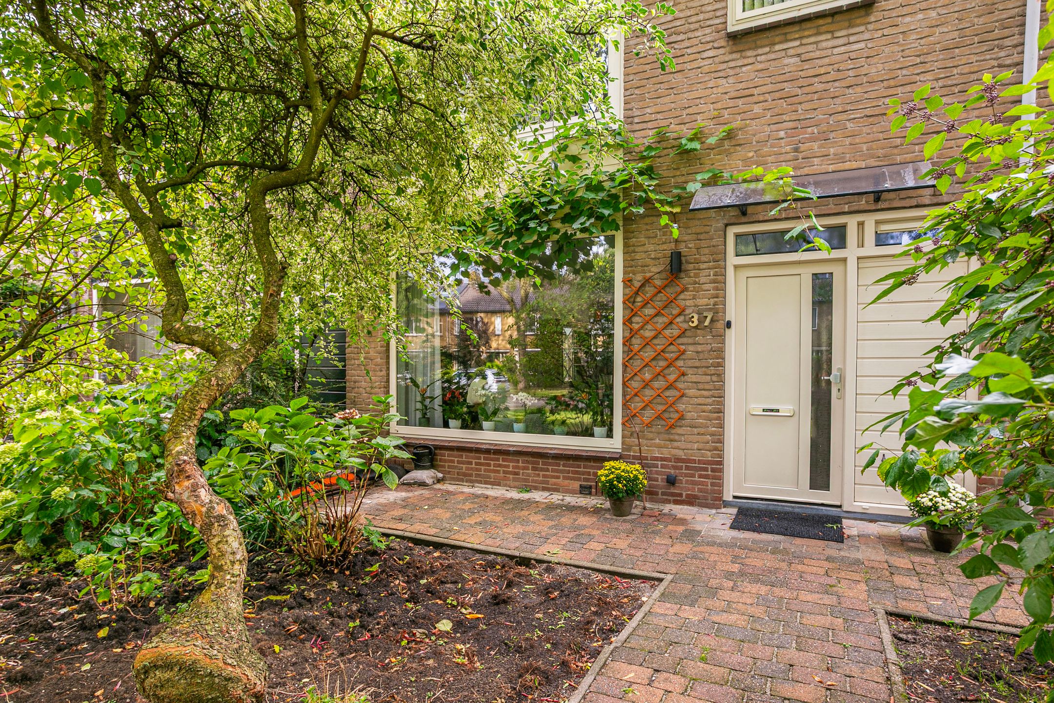 Foto 6 van Laan 1954 37