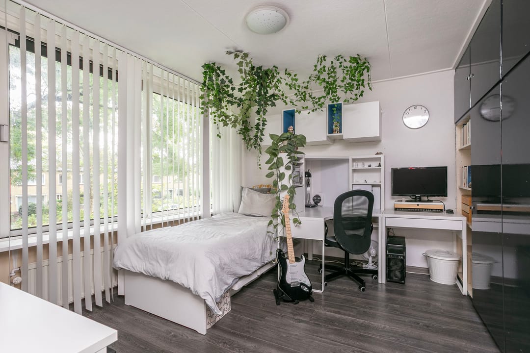 Foto 22 van Laan 1954 37