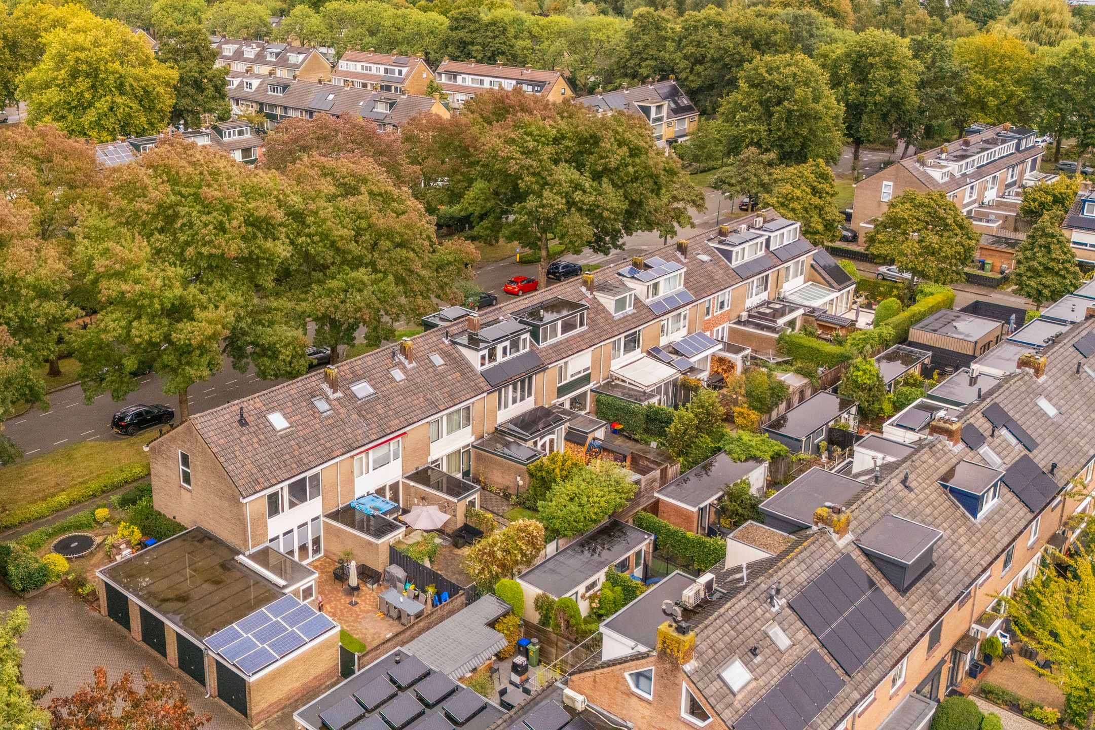 Foto 39 van Laan 1954 37