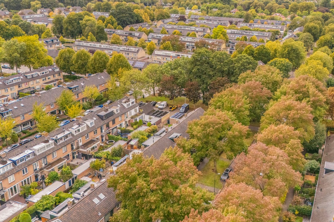 Foto 41 van Laan 1954 37