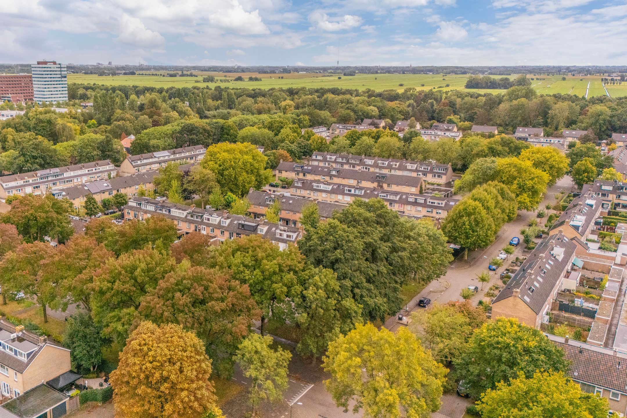 Foto 42 van Laan 1954 37