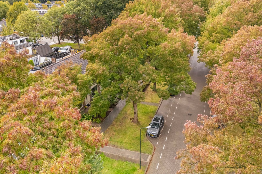 Foto 43 van Laan 1954 37