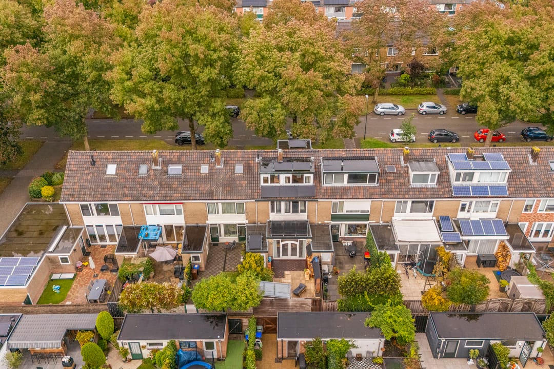 Foto 38 van Laan 1954 37