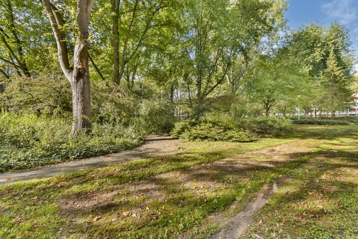 Foto 23 van Het Laagt 183