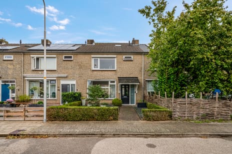 undefined main image