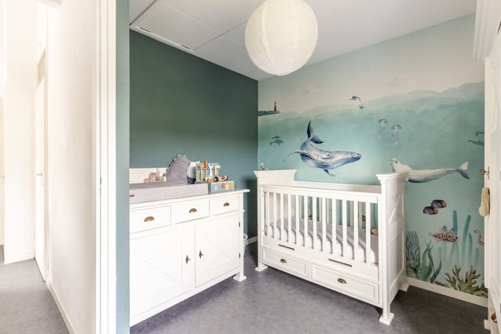 Photo 29 of Omloop 26