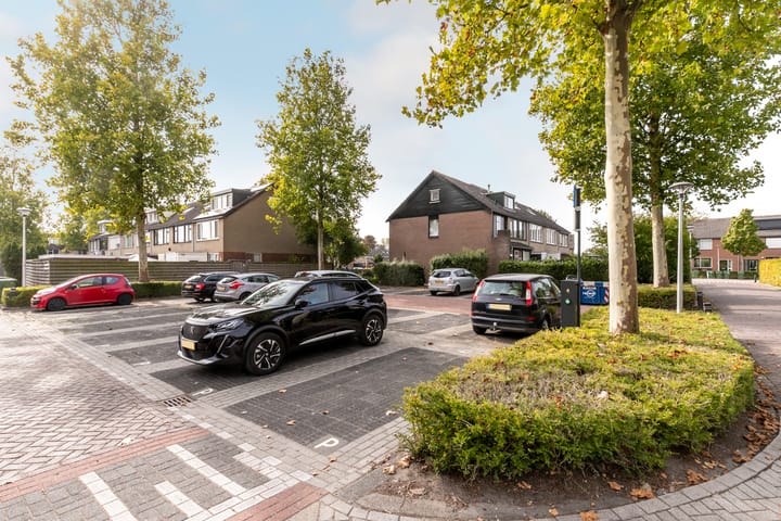 Photo 40 of Omloop 26