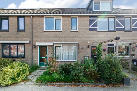 undefined main image