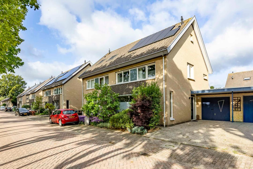 Foto 1 van Vingerhoedskruid 47