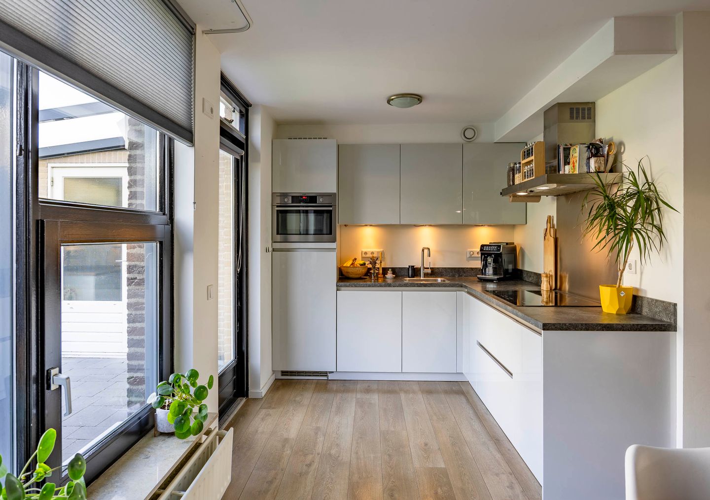 Foto 4 van Vingerhoedskruid 47