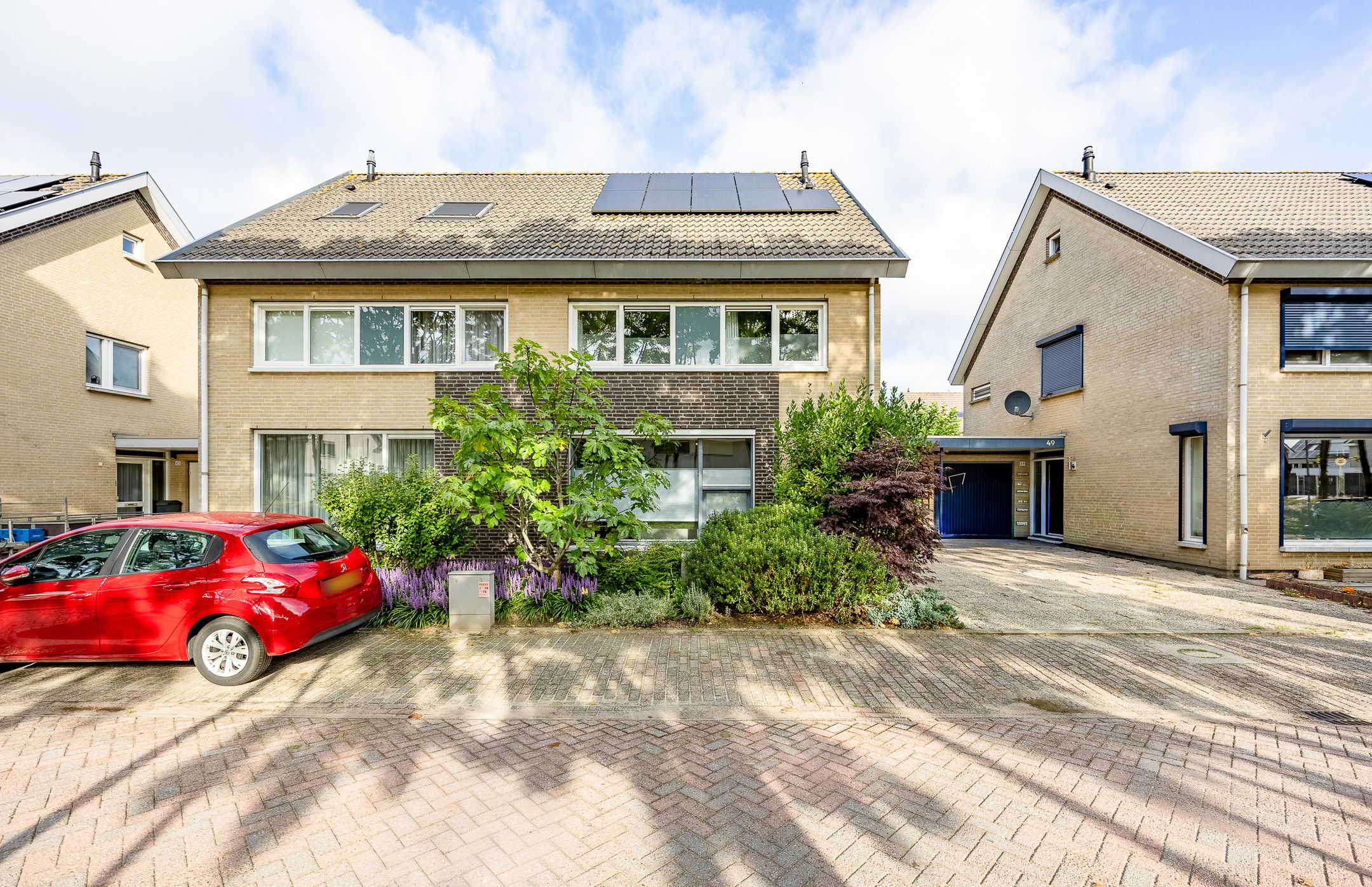 Foto 6 van Vingerhoedskruid 47