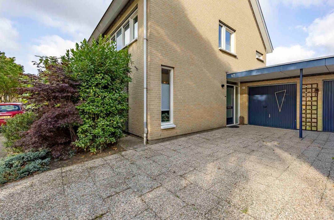 Foto 7 van Vingerhoedskruid 47