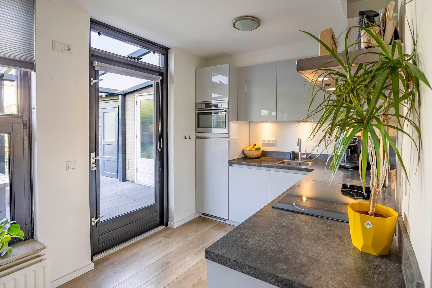 Foto 19 van Vingerhoedskruid 47