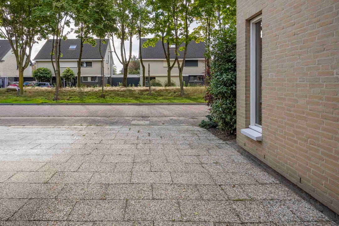 Foto 38 van Vingerhoedskruid 47