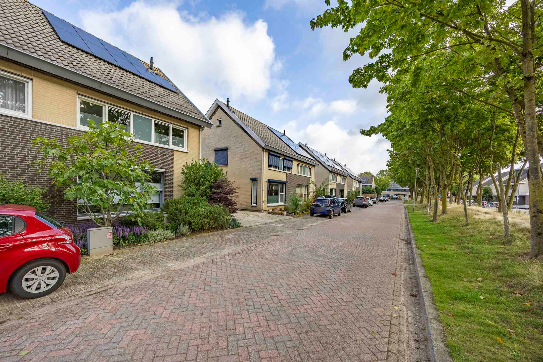 Foto 39 van Vingerhoedskruid 47