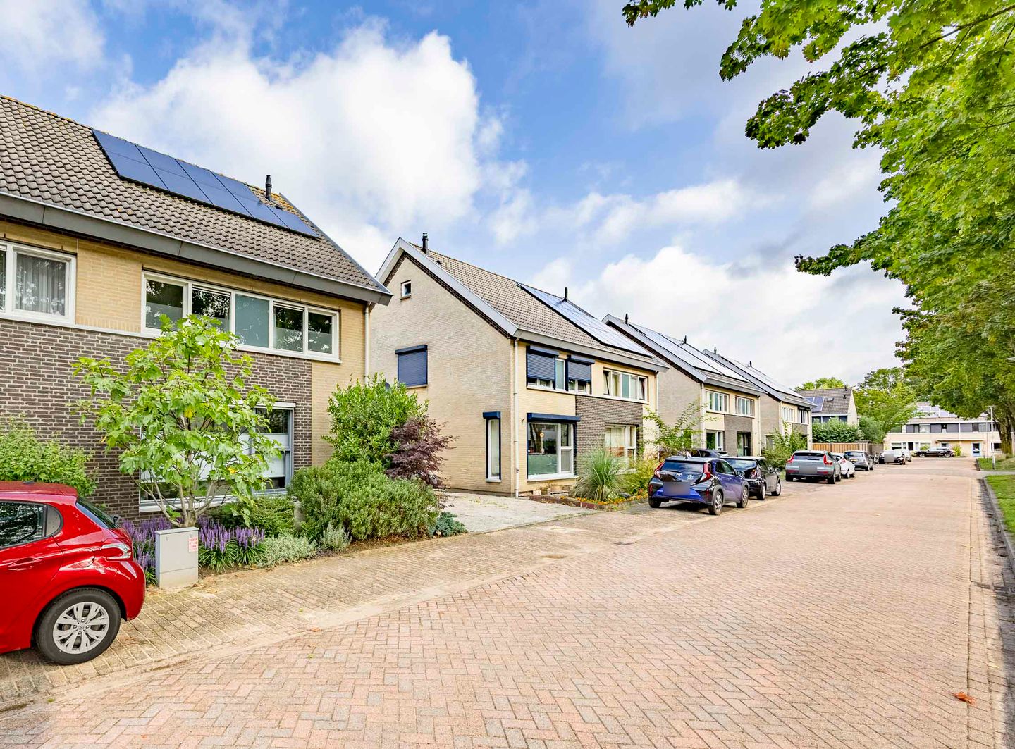 Foto 40 van Vingerhoedskruid 47