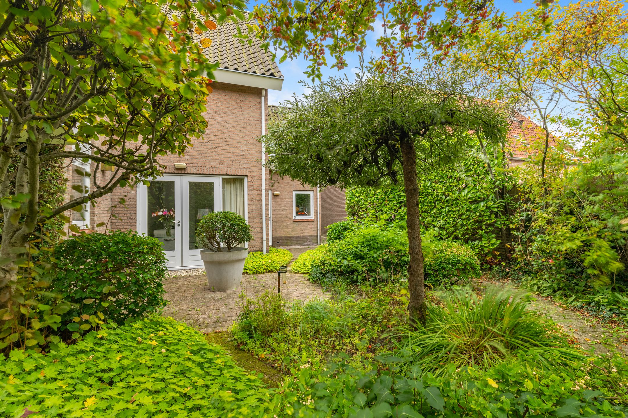 Foto 39 van De Witte Hoofden 5