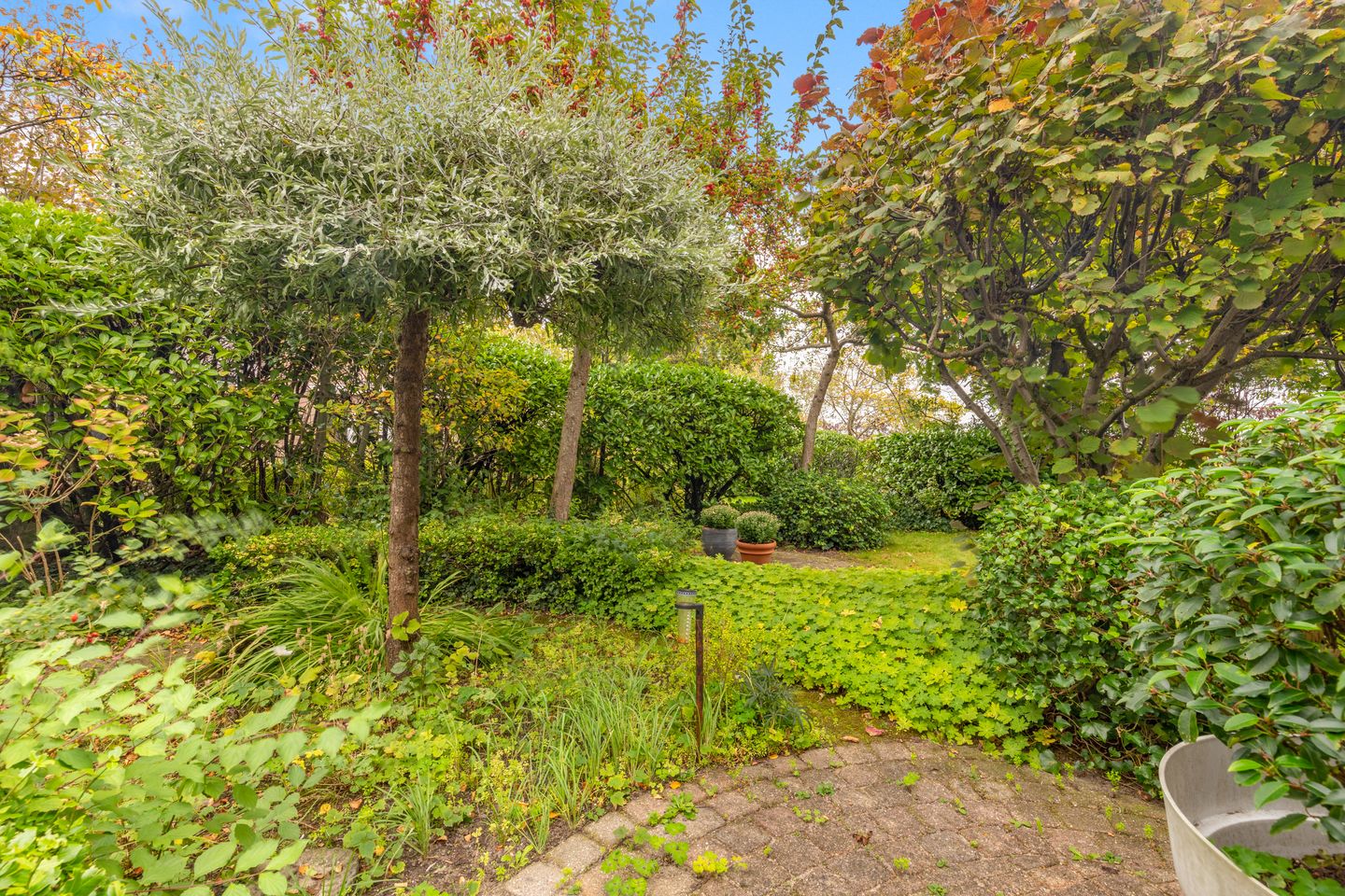 Foto 40 van De Witte Hoofden 5