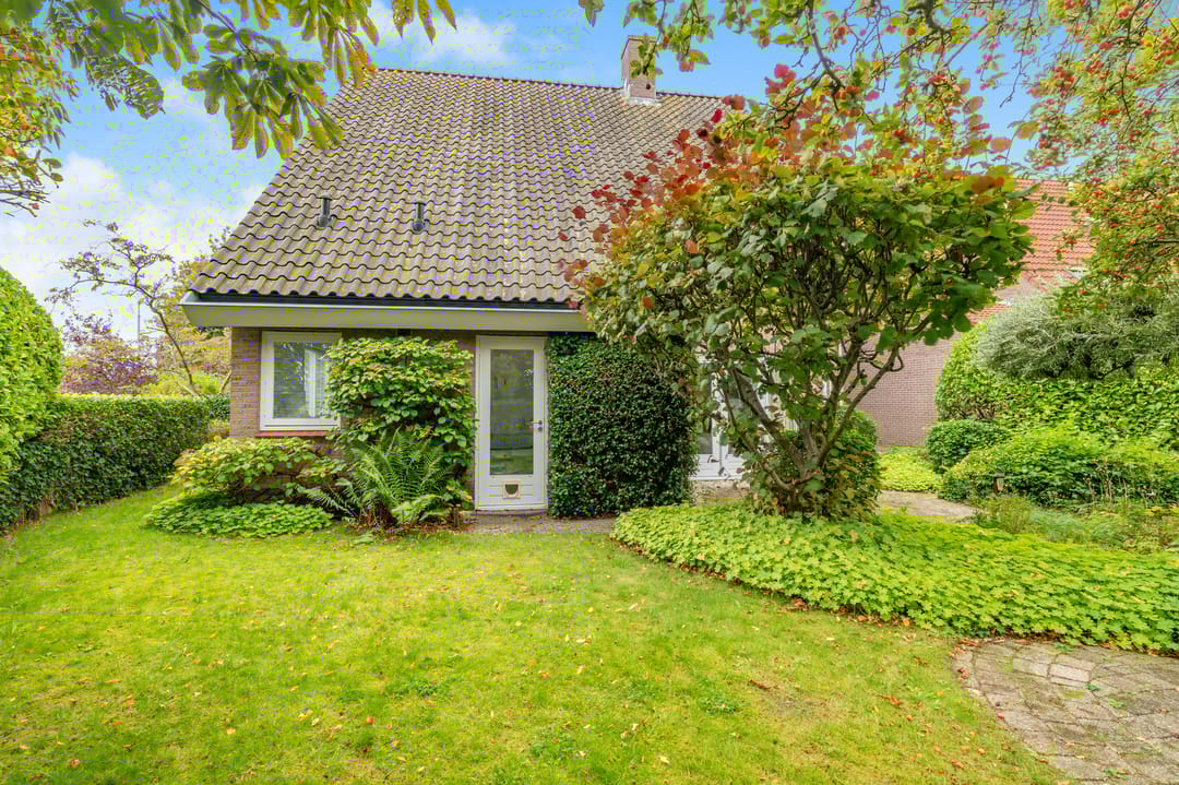 Foto 41 van De Witte Hoofden 5