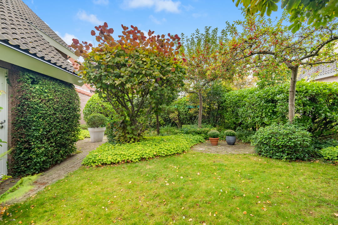 Foto 43 van De Witte Hoofden 5