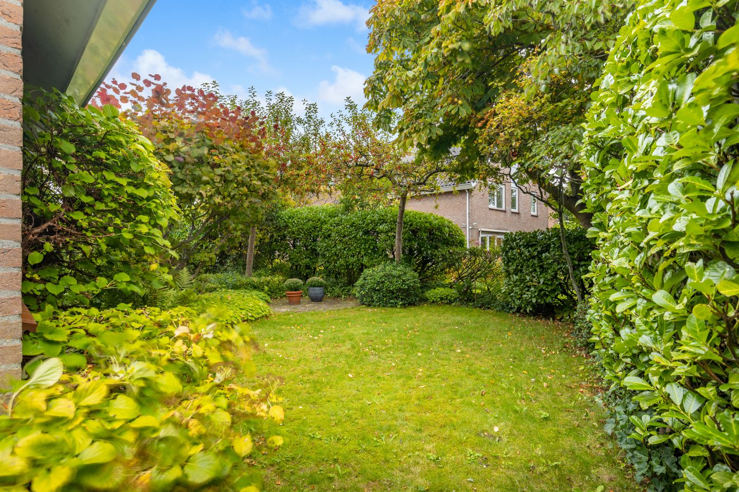 Foto 44 van De Witte Hoofden 5