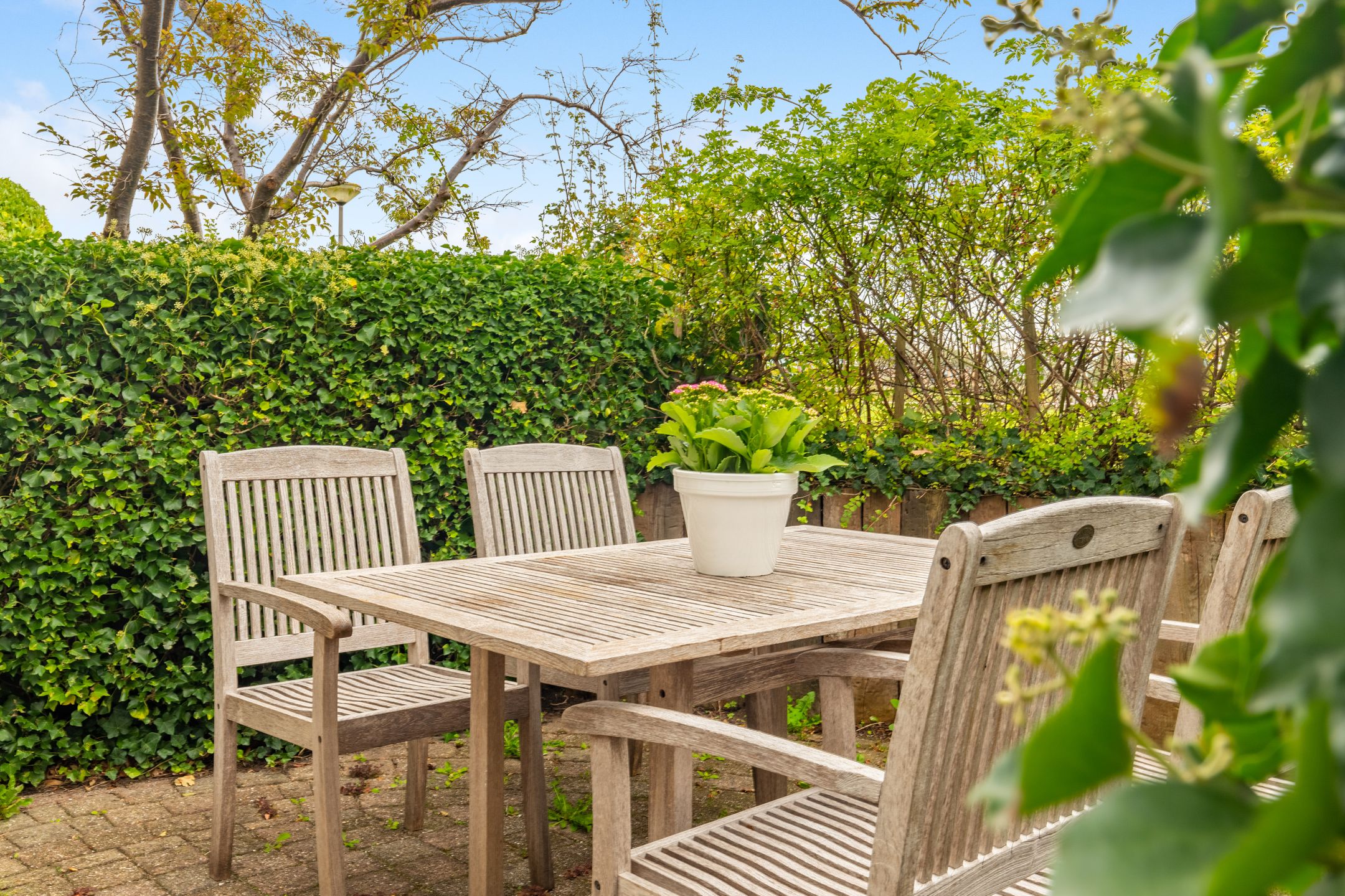 Foto 45 van De Witte Hoofden 5