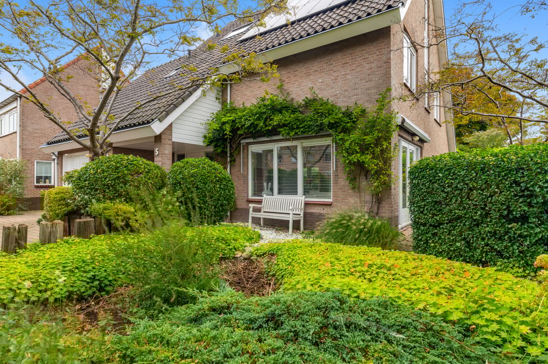 Foto 46 van De Witte Hoofden 5