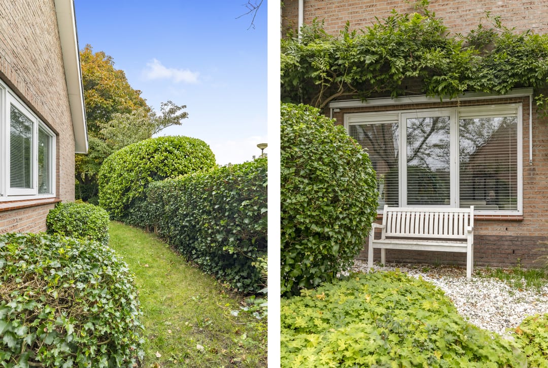 Foto 47 van De Witte Hoofden 5