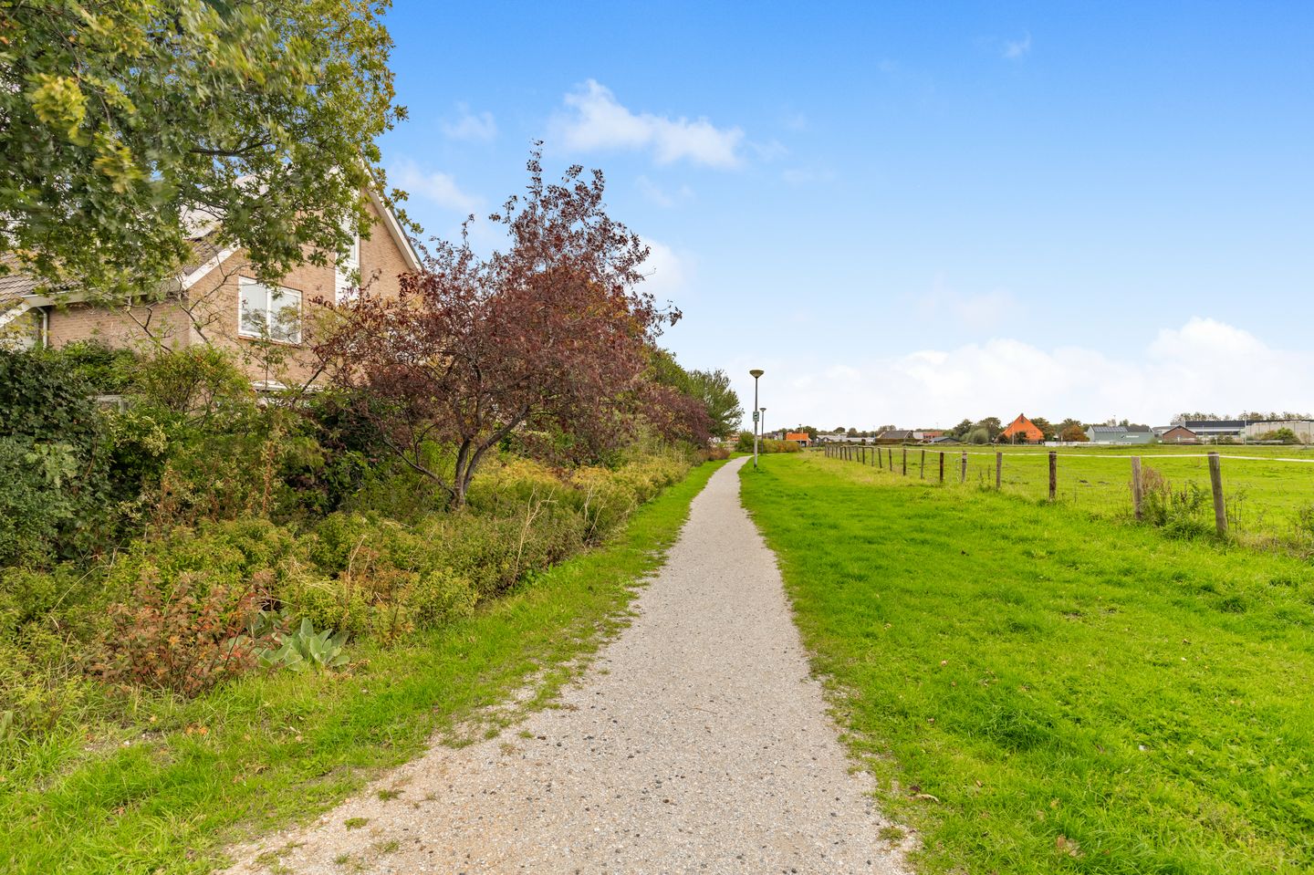 Foto 49 van De Witte Hoofden 5