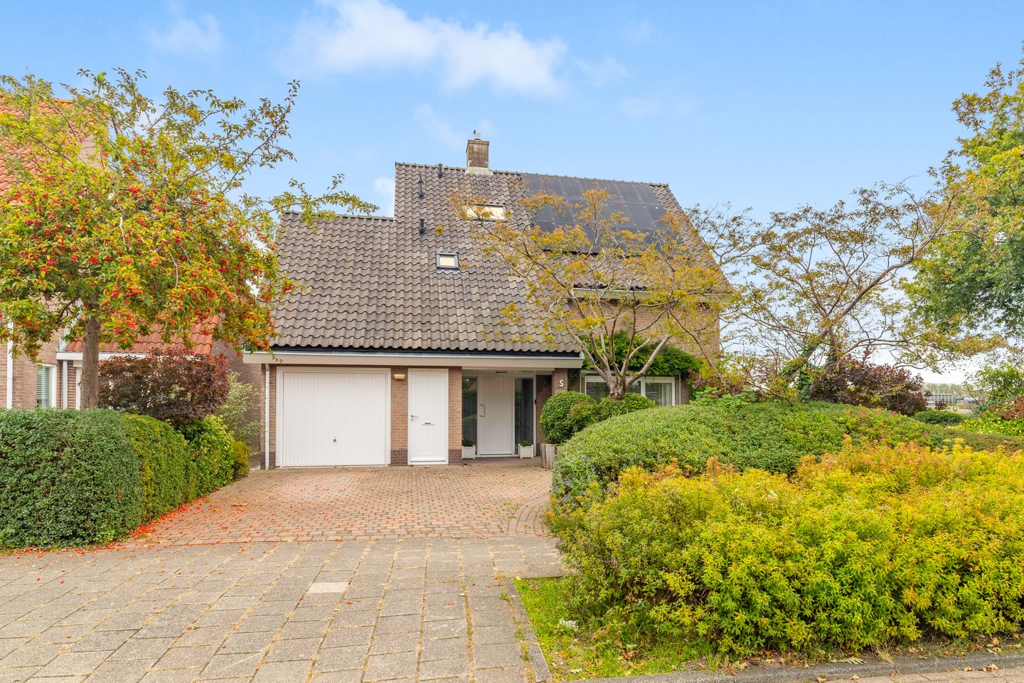 Foto 50 van De Witte Hoofden 5