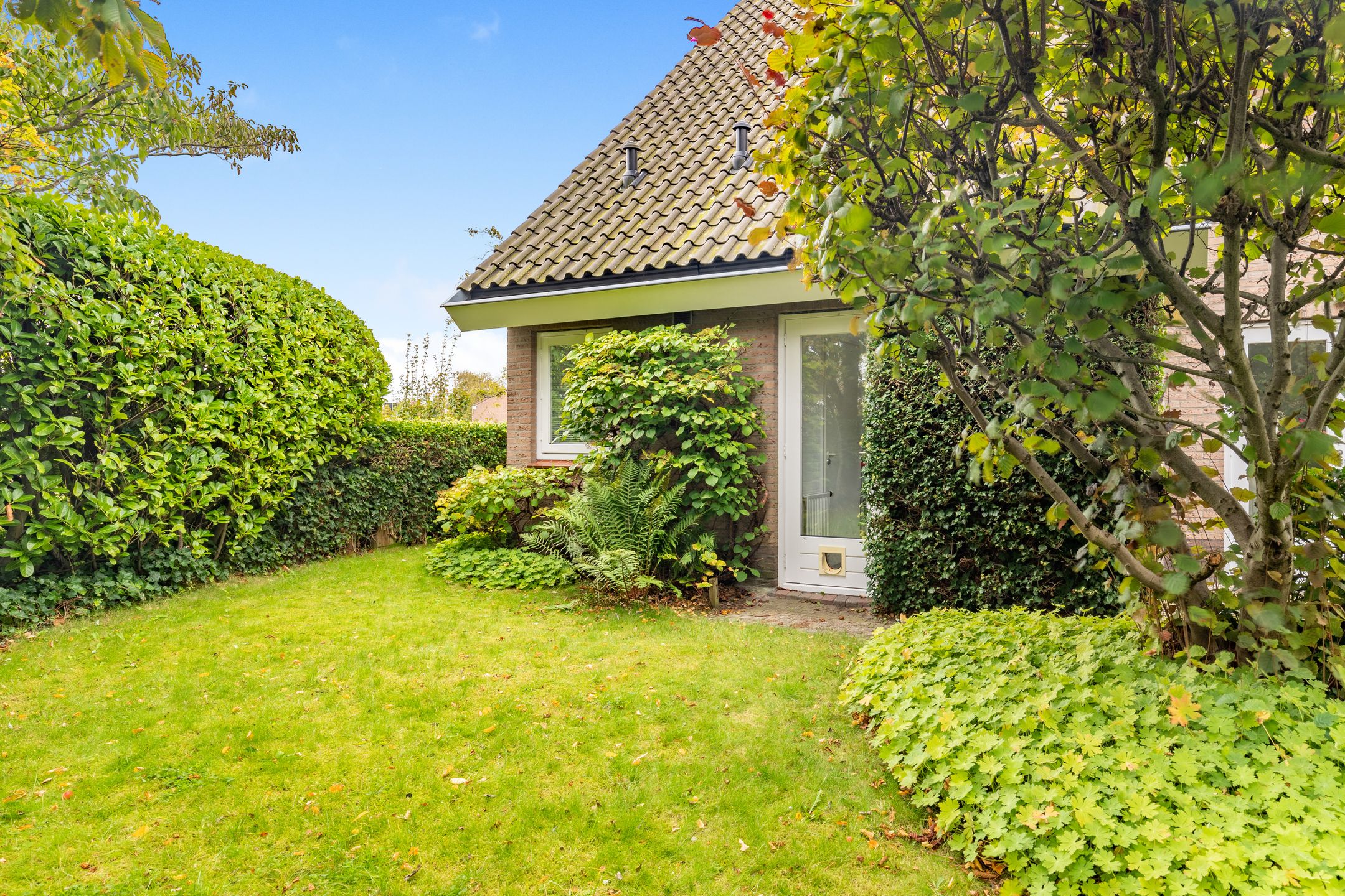 Foto 42 van De Witte Hoofden 5