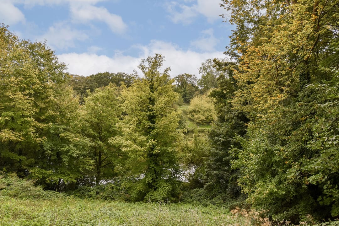 Photo 26 of Parkweg 17-W