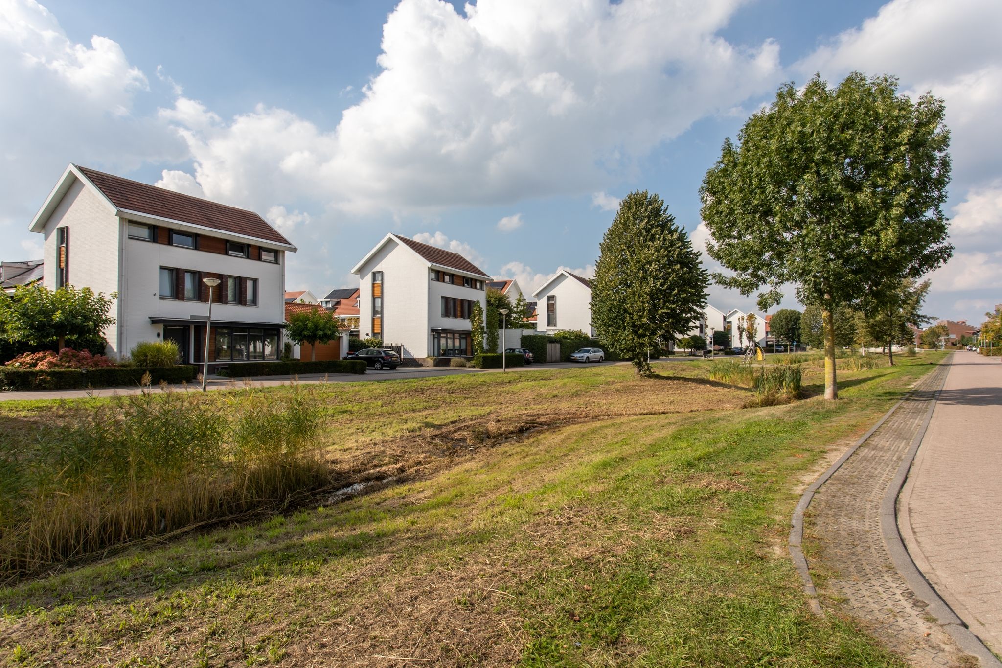 Foto 48 van Emeraldpad 60