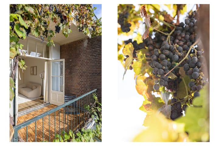 Photo 30 of Willem van Noortstraat 103