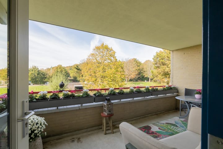 Foto 4 van Groot hoefbladlaan 48