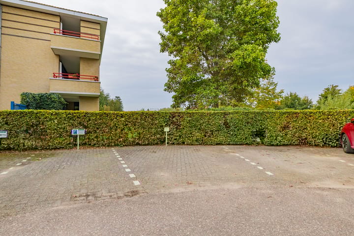 Foto 31 van Groot hoefbladlaan 48