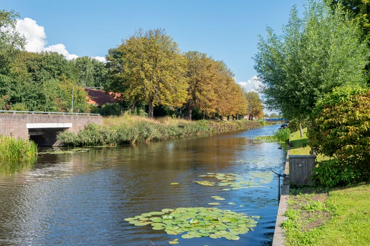 Foto 32 van Groot hoefbladlaan 48