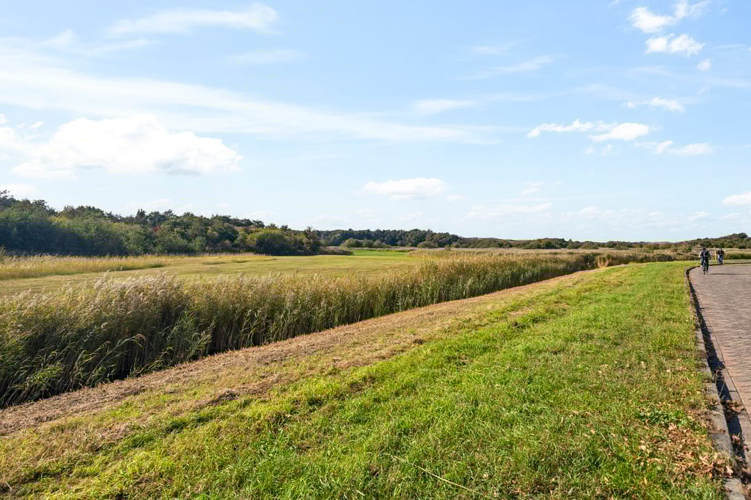 Foto 32 van Sparrenstraat 44