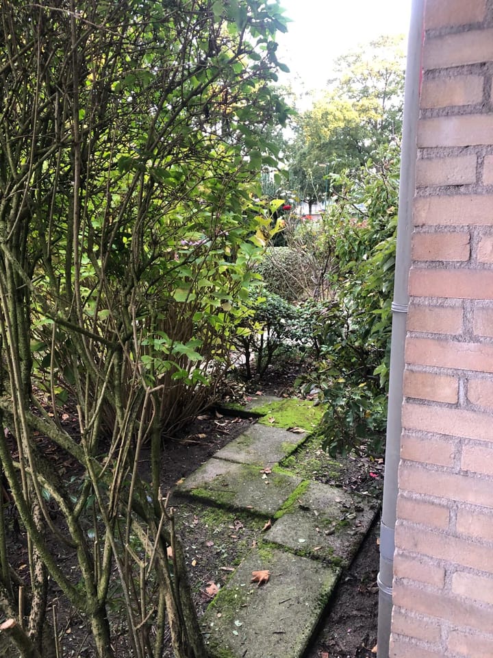 Foto 18 van Oudeveen 2