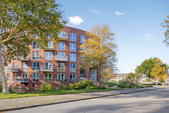 Foto 27 van Henri Dunantsingel 222