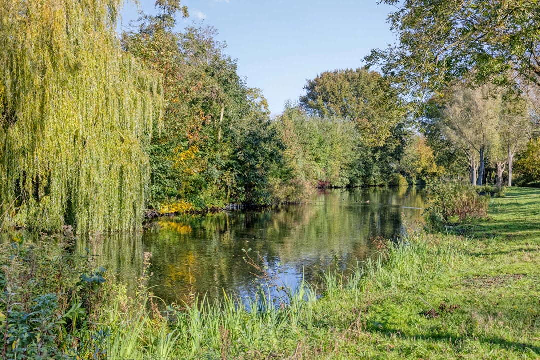 Foto 28 van Henri Dunantsingel 222