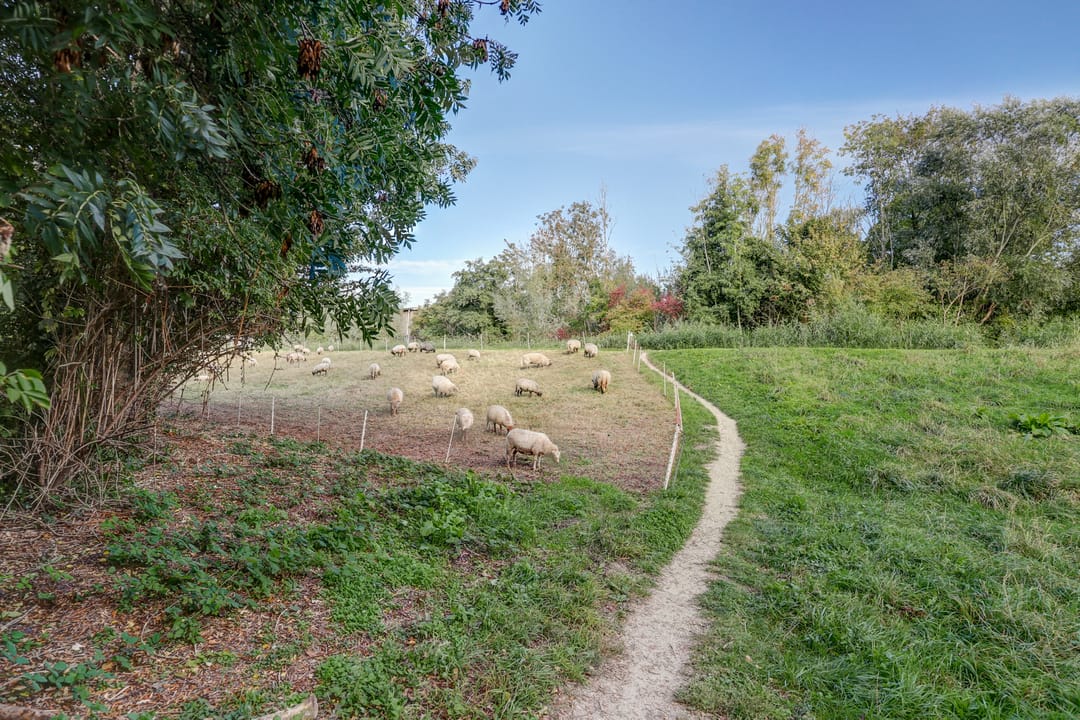 Foto 38 van Mauritslaan 3