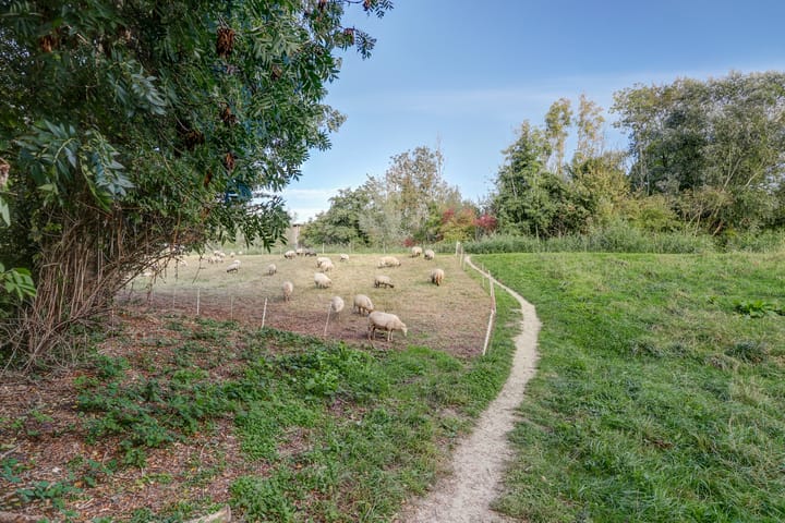 Foto 38 van Mauritslaan 3