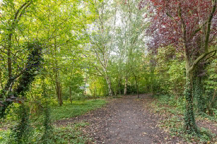 Foto 52 van Jan Luykenstraat 20